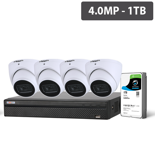 Kit videosorveglianza IP 4 canali  4MP ottica fissa 1 tb di hard disk e 4 dome